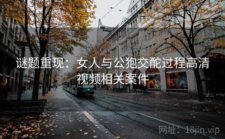谜题重现：女人与公狍交酡过程高清视频相关案件  第1张